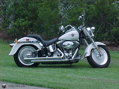 My Harley Bike
