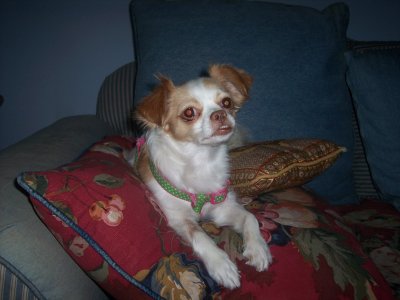Dina