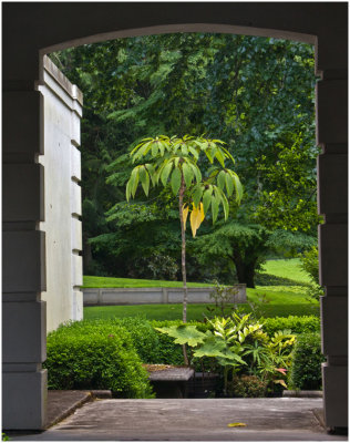 S_BriansP_Bloedel Arch.jpg
