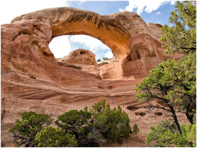 S_DeArmanJ_ClimbingArch.jpg