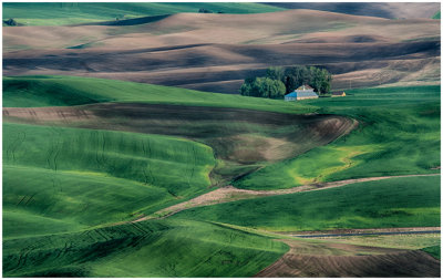 G_MuhrleinHal_ Spring Time in the Palouse.Print.jpg