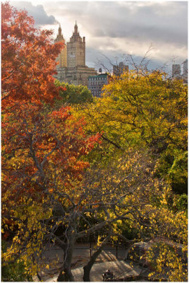 S_BriansP_Autumn in New York.print.jpg