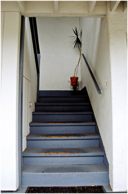 S_OzeR_Stairway To No Where.jpg
