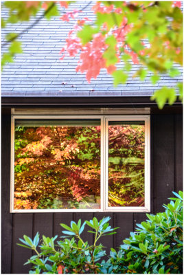 S_McGregorC_Autumn Window.jpg