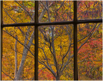 G_BriansP_Autumn Window.jpg