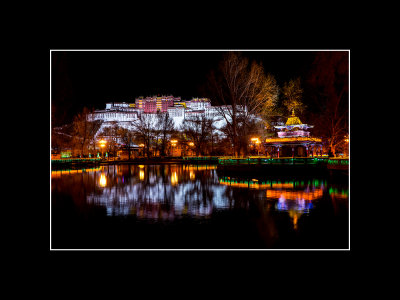 M_Potala Palace at Night_RootJ.jpg
