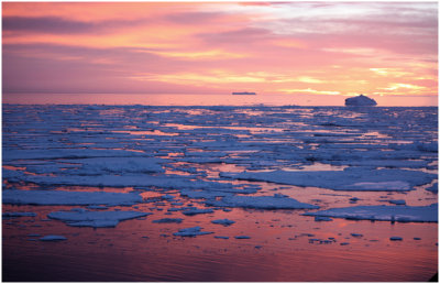 R_Antarctic_sunsetlandscape_TiffanyM.jpg