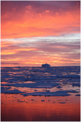 R_Antarctic_sunsetportrait_TiffanyM.jpg