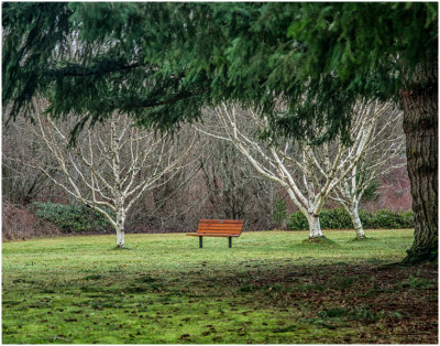 R_Brians_Park Bench.print.jpeg.jpg