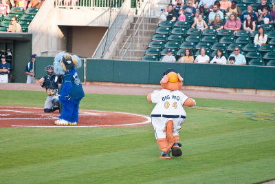 The Big Moe Strut