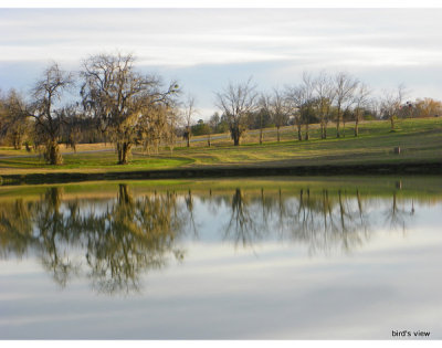 Winter at the Waters