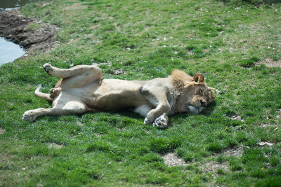 Do NOT Disturb!