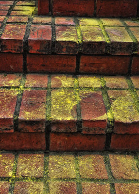 Steps on Steps