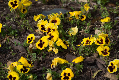 Field Trip to Riverwalk, Columbus, Georgia - March 2015