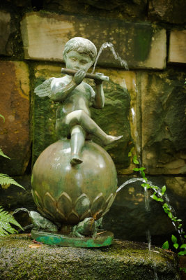Garden Nymph