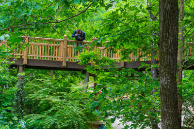 Ariya shooting from bridge