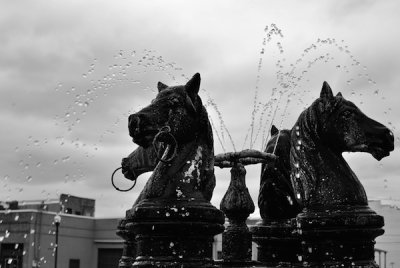 Horses To Water