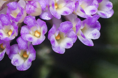 JULY 2014 ONLINE COMPETITION - MACRO
