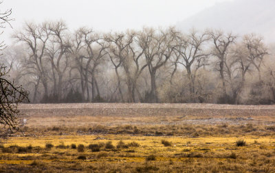 North of Santa Fe, New Mexico