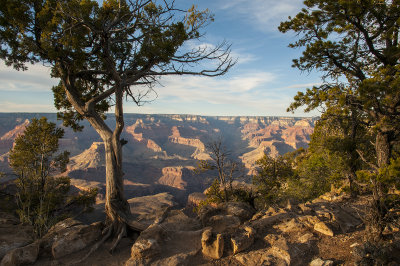 south rim.jpg