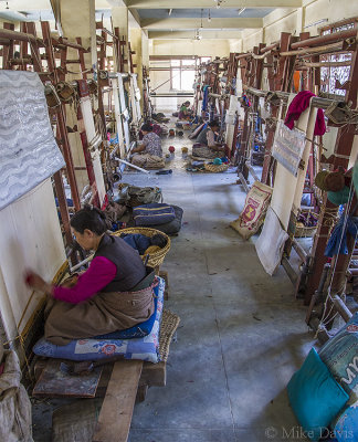 Tibetan Refugee Carpet Shop