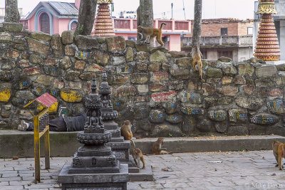 Swayambhunath Temple