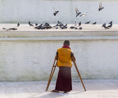 A monk at Bodhnath Temple