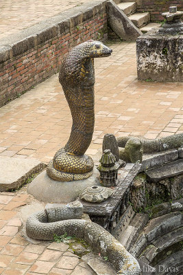 A brass cobra guards the King's Bath