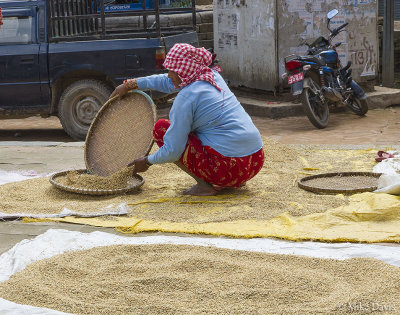 Drying rice in Durbar Square, Bhaktapur