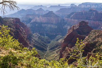 North Rim, Bright Angel Canyon