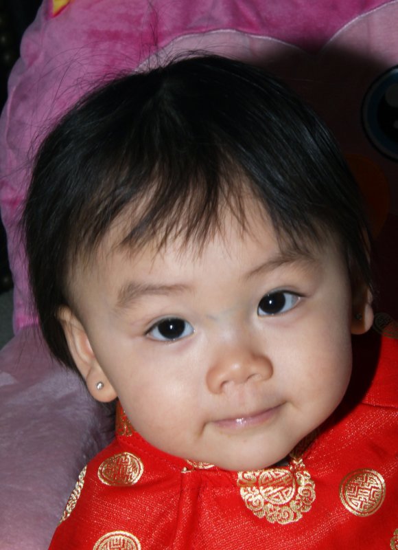 Ready for the Lunar Calendar NEW YEAR, the Year of the Monkey