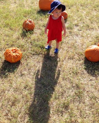 Have fun at Dewberry Farm (5)
