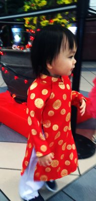 Lunar New Year  the year of the MONKEY (1)