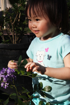 IMG_3972 =+.JPG