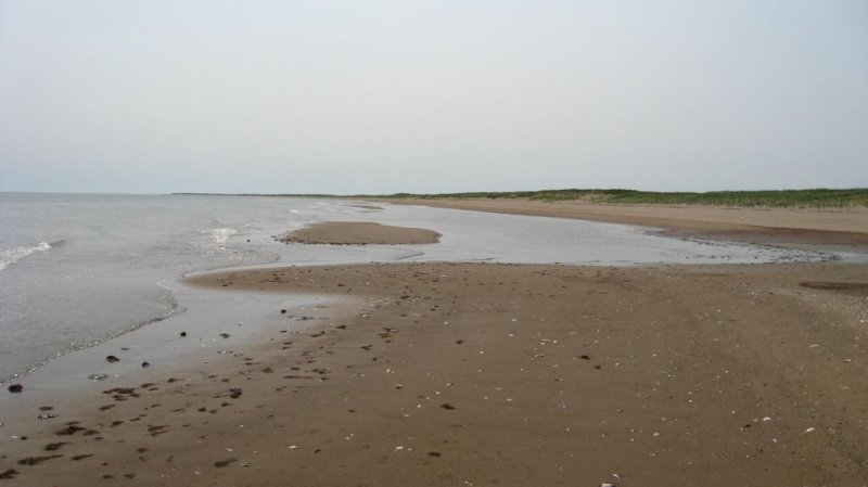 IMG_0034.jpg