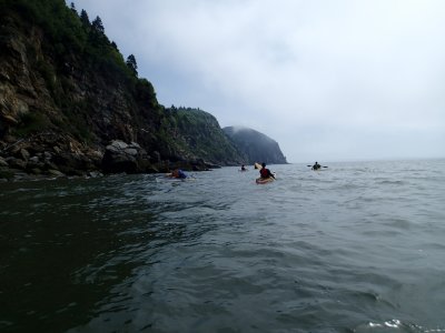 P6230017.jpg