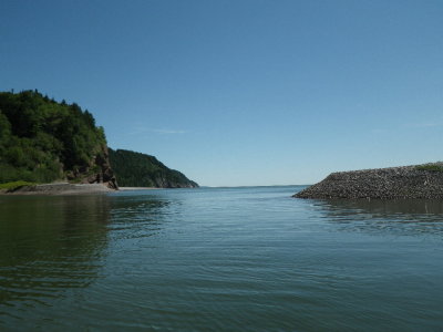 IMGP0408.JPG