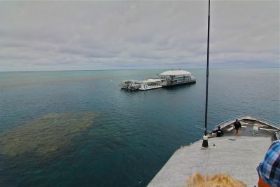 The Quicksilver pontoon at the outer edge of the Great Barrier Reef abourt 25 miles off the coast of Port Douglas