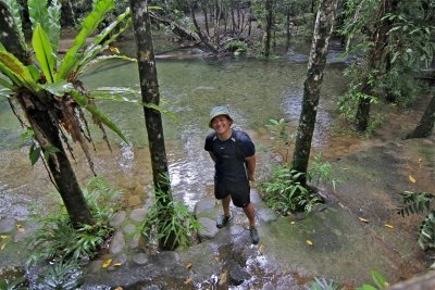 Daintree Forest