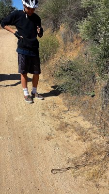 Mountain Biking with the Family