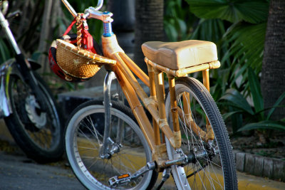 Bamboo bicycles