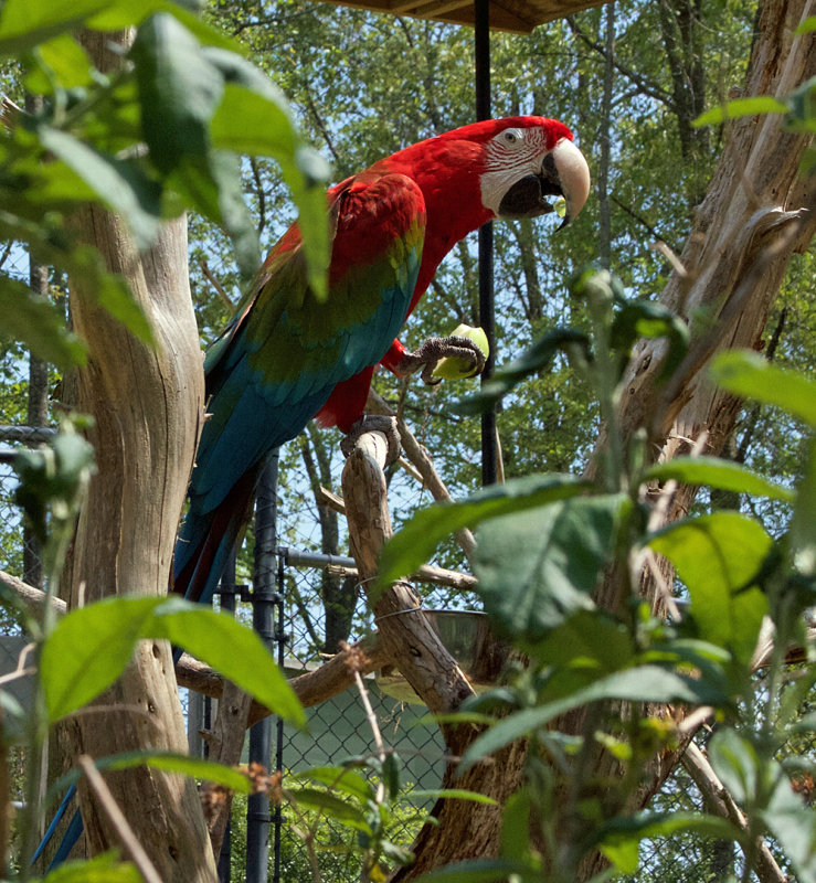 WATERFOWL  PARK