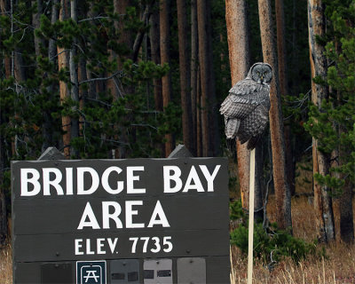 Welcome to Bridge Bay.jpg