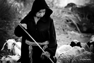 Shepherd Woman