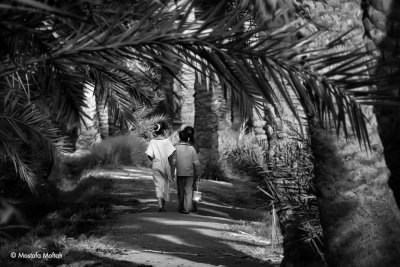 Farmer Kids Walking Together in Conversation