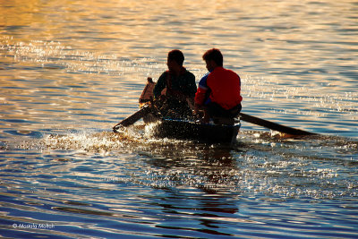 Rowing Back | Lake Qarun