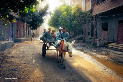 The Way Back Home