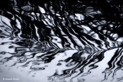 Water Reflection