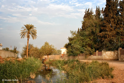 Countryside Scene