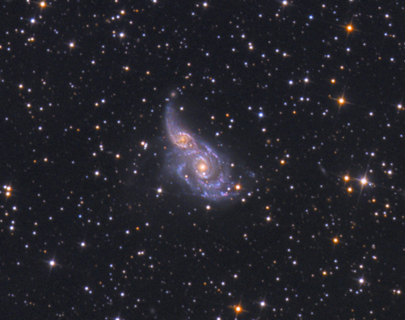 A Cosmic Embrace in Canis Major